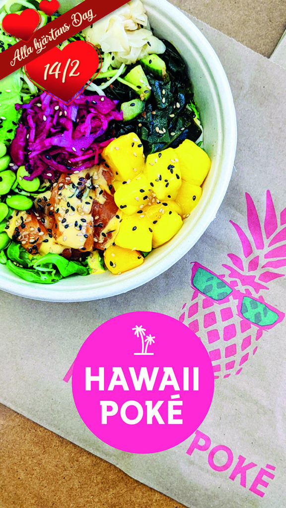 Hawaii Poke 2